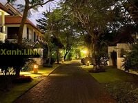 Cô vợ dâm mông bự và câu chuyện sau kết hôn (Phần 1)