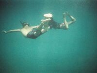 [TravelVids] Trọn Bộ Ảnh Ăn Chơi Của Tây Trọc TravelVids Từ Xưa Đến Nay