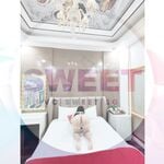 VCSweetSG cùng những Partner