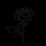 Em ấy nhìn ngon thật