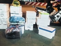 Tìm nữ dong nai giao luu vui vẻ kín thi alo 0865058423