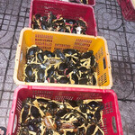 Tìm nữ dong nai giao luu vui vẻ kín thi alo 0865058423