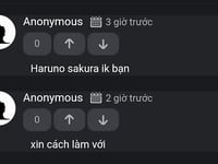 Cái bạn hay comment nhắn tí cho mik xin discord để chỉ cho