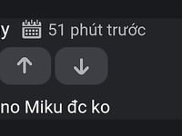 T mong bn xem xong hết gay:v