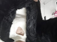 A thấy gì trong áo lông có ai đồng dâm ko ib