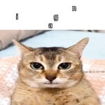 gạ dc e *** cực múp