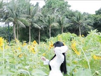 Ae chuẩn bị chưa nào😋