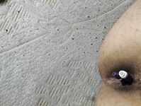 Gạ đứa bạn tọt lỗ đít để đc chỉ bài:))