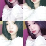 Tường vy 8B damdang