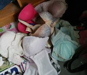 Soi đặc biệt 172