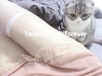 1376 ảnh trong 1 album: Cô gái loli dễ thương 4