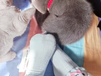 1376 ảnh trong 1 album: Cô gái loli dễ thương 4