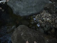 Album: Em Gái Xinh Đẹp Trong Bộ Trang Phục Cổ Trang