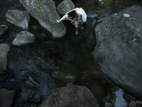 Album: Em Gái Xinh Đẹp Trong Bộ Trang Phục Cổ Trang