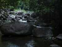 Album: Em Gái Xinh Đẹp Trong Bộ Trang Phục Cổ Trang