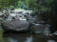 Album: Em Gái Xinh Đẹp Trong Bộ Trang Phục Cổ Trang