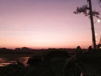 Cu đang bực bội