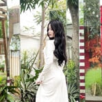 Bưởi beo lai 2008