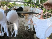 Quần áo lót cho anh chị em càn