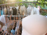 Quần áo lót cho anh chị em càn