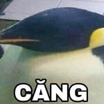 đùa vậy đủ rồi,t 2k@l2 và t trai thẳng.