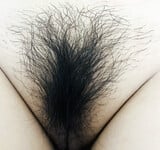 Lồn vk nhiều lông