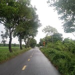 Heheh có bạn nào gần chỗ mk k hihi 😁