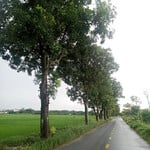 Heheh có bạn nào gần chỗ mk k hihi 😁