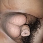 Cunhỏcặcnhỏchimnhỏchimbécubédươngvậtnhỏ sục