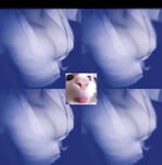 K11, năn nỉ dữ lắm ẻm mới cho xem ảnh