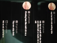 Câu chuyện tập cho chó chơi sướng lắm