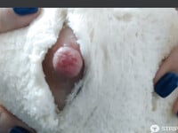 Yuong min bánh mì kẹp đầu ti