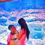 Leak dhs nhật 2025