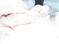 2/Hình ảnh chính chủ