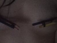 Bé slave đầu tiên