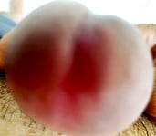 Luôn ấm và nóng