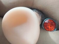 Bé slv 2 được huấn luyện