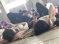 Bưởi Beo Lai 2008 (10đ)