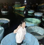 Lột đồ em gái Thuỷ Ly