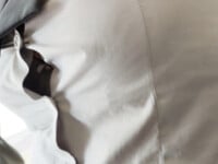 vó tu cho ae nữa nè