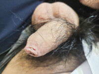 Chym nhỏ lắm lông