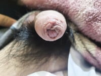 Lên tiếp cho ae con chym lắm lông