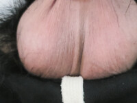 Trái dứng đây 🤣🤣