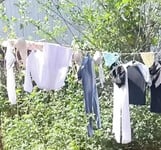 Mông vú lộ sịp