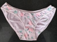 Bộ sưu tập quần lót