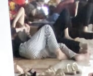 Bưởi Beo Lai 2008