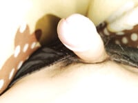 211 như này ngắn ko mn