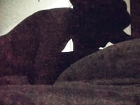 xa kho anh nyc nha nang may qua