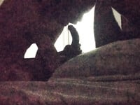 xa kho anh nyc nha nang may qua