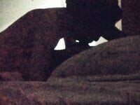 xa kho anh nyc nha nang may qua